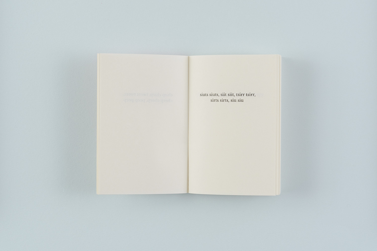 Elfi Seidel, What birds say, 2018